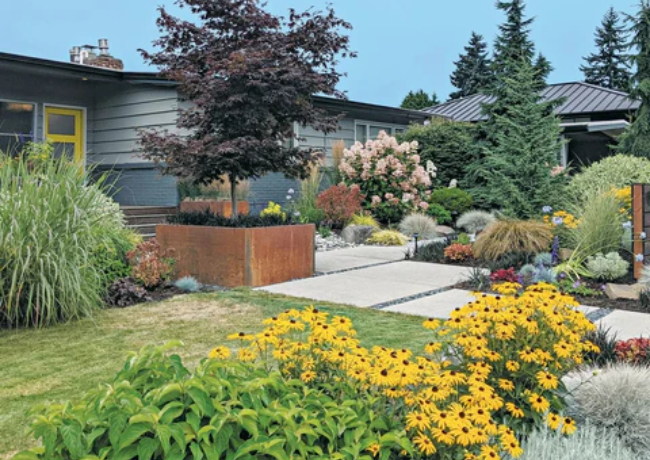 Native Tropical Garden Design